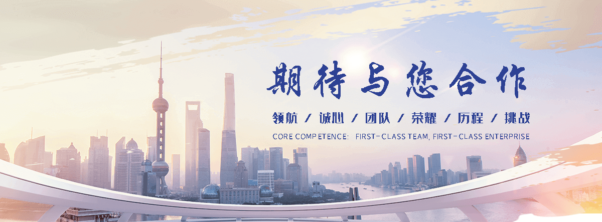屯昌海狮租赁公司